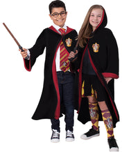 Load image into Gallery viewer, Division 4 - 4+: Harry Potter Hogwarts Students (Gryffindor &amp; Slytherin)