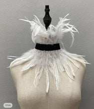Load image into Gallery viewer, Senior Contemporary: Feathers