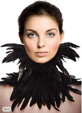 Load image into Gallery viewer, Senior Contemporary: Feathers