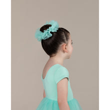 Load image into Gallery viewer, Energetiks Tutu Scrunchie